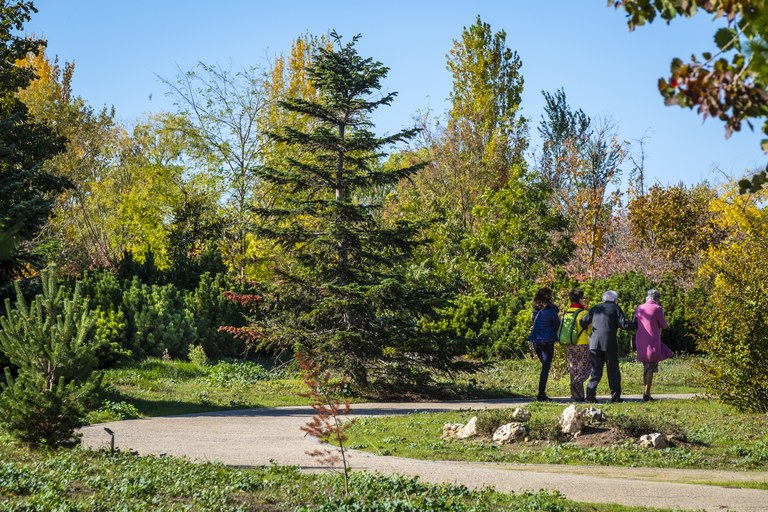 Balanç positiu de visitants a l’Arborètum, malgrat haver estat tancat tres mesos