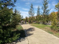 Celebrada la visita guiada a l’Arborètum per contemplar els colors dels arbres i arbustos a la tardor