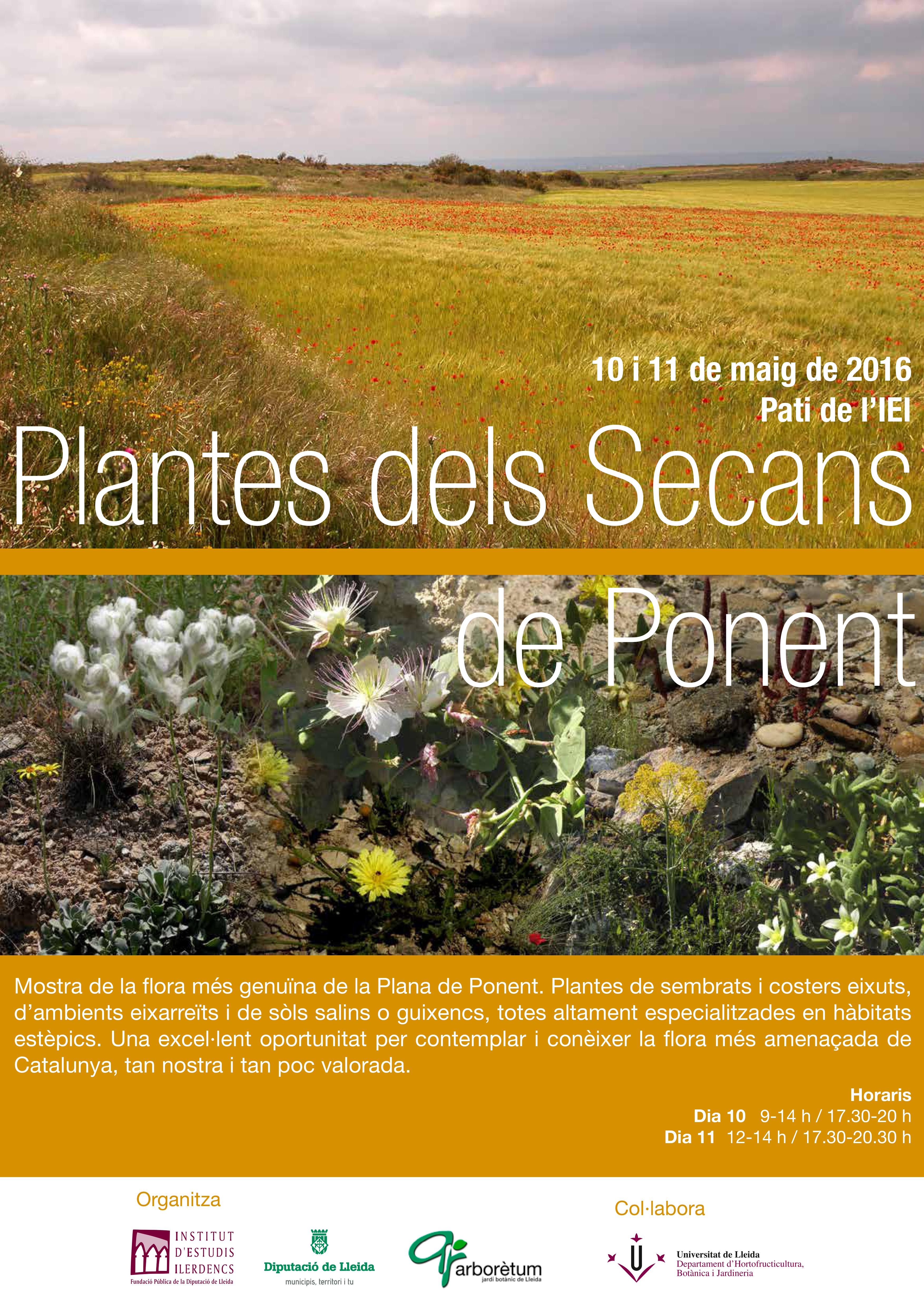 L’Arborètum i l’IEI organitzen l’exposició “Plantes dels Secans de Ponent” 